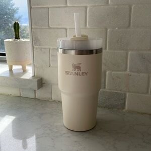 Stanley tumbler